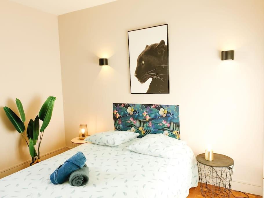 Cosy Mure 4Ch - Stationnement Gratuit Pau Exterior photo